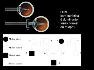 Qual 
característica 
é dominante: 
visão normal 
ou míope? 
