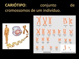 CARIÓTIPO: conjunto de 
cromossomos de um indivíduo. 
 