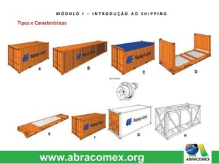 M Ó D U L O I – I N T R O D U Ç Ã O A O S H I P P I N G 
Tipos e Características 
 
