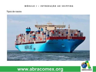 M Ó D U L O I – I N T R O D U Ç Ã O A O S H I P P I N G 
Tipos de navios 
 
