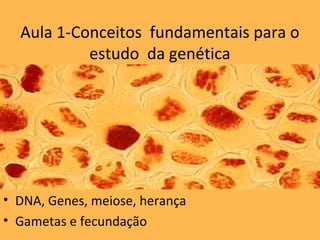 Aula 1-Conceitos fundamentais para o
estudo da genética
• DNA, Genes, meiose, herança
• Gametas e fecundação
 
