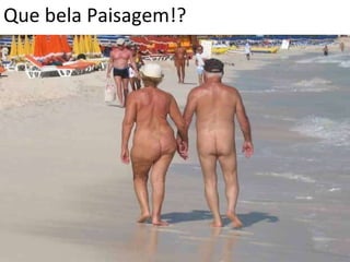 Que bela Paisagem!? 
