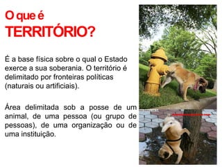 O que é
TERRITÓRIO?
É a base física sobre o qual o Estado
exerce a sua soberania. O território é
delimitado por fronteiras políticas
(naturais ou artificiais).

Área delimitada sob a posse de um
animal, de uma pessoa (ou grupo de
pessoas), de uma organização ou de
uma instituição.
 