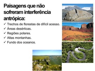 Paisagens que não
sofreram interferência
antrópica:
   Trechos de florestas de difícil acesso.
   Áreas desérticas.
   Regiões polares.
   Altas montanhas.
   Fundo dos oceanos.
 