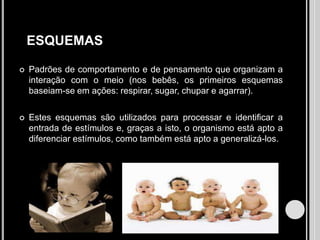   ESQUEMASPadrões de comportamento e de pensamento que organizam a interação com o meio (nos bebês, os primeiros esquemas baseiam-se em ações: respirar, sugar, chupar e agarrar). Estes esquemas são utilizados para processar e identificar a entrada de estímulos e, graças a isto, o organismo está apto a diferenciar estímulos, como também está apto a generalizá-los.