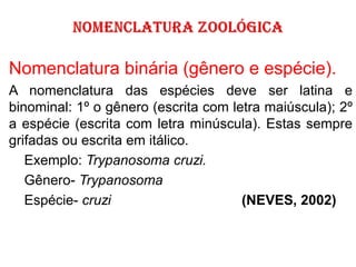 Nomenclatura binária (gênero e espécie).
A nomenclatura das espécies deve ser latina e
binominal: 1º o gênero (escrita com letra maiúscula); 2º
a espécie (escrita com letra minúscula). Estas sempre
grifadas ou escrita em itálico.
Exemplo: Trypanosoma cruzi.
Gênero- Trypanosoma
Espécie- cruzi (NEVES, 2002)
 