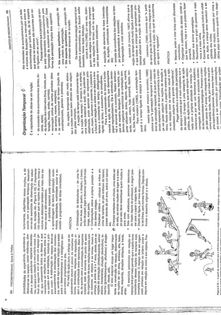 Conceitos psicomotores