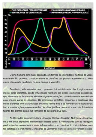 O olho humano tem maior acuidade, em termos de intensidade, na faixa do verde
e amarelo. No processo da fotossíntese as cl...