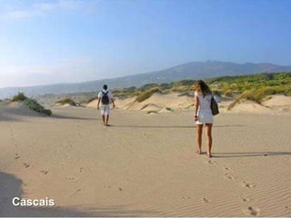 Cascais
          21
 