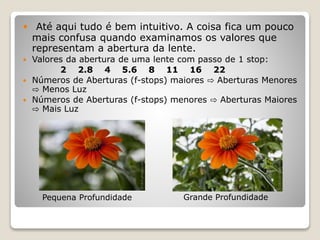  Até aqui tudo é bem intuitivo. A coisa fica um pouco
mais confusa quando examinamos os valores que
representam a abertura da lente.
 Valores da abertura de uma lente com passo de 1 stop:
2 2.8 4 5.6 8 11 16 22
 Números de Aberturas (f-stops) maiores ⇨ Aberturas Menores
⇨ Menos Luz
 Números de Aberturas (f-stops) menores ⇨ Aberturas Maiores
⇨ Mais Luz
Pequena Profundidade Grande Profundidade
 
