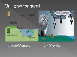 On Environment
Acid rainEutrophication
 