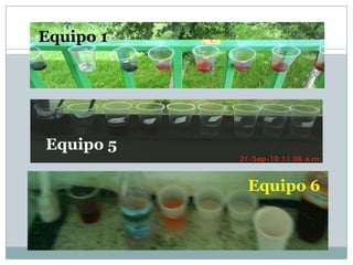 Equipo 1
Equipo 5
Equipo 6
 