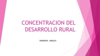 CONCENTRACION DEL
DESARROLLO RURAL
SARAVENA - ARAUCA
 