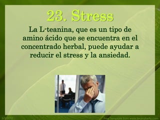 23. Stress
             La L-teanina, que es un tipo de
           amino ácido que se encuentra en el
           concentrado herbal, puede ayudar a
             reducir el stress y la ansiedad.




5/3/2012                          Free Template from www.brainybetty.com
 