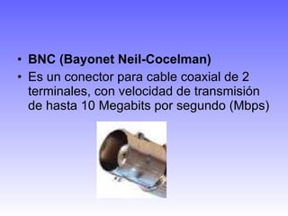 BNC (Bayonet Neil-Cocelman) Es un conector para cable coaxial de 2 terminales, con velocidad de transmisión de hasta 10 Megabits por segundo (Mbps) 