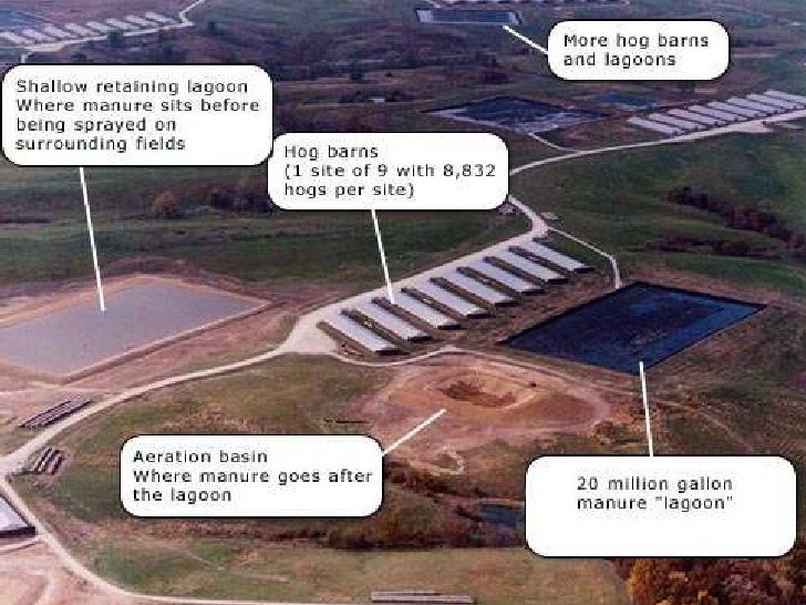 Concentrated animal feeding operations