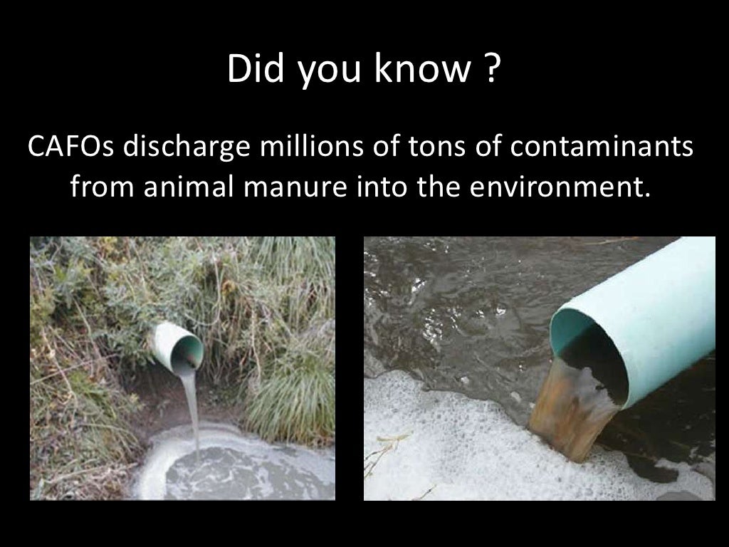 concentrated-animal-feeding-operations