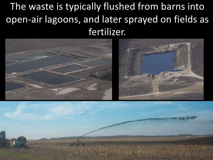 Concentrated animal feeding operations