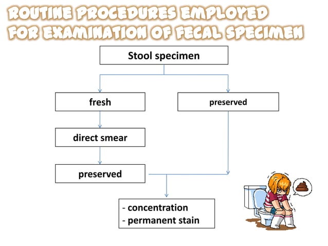 Concentration techniques for feacal examination | PPTX