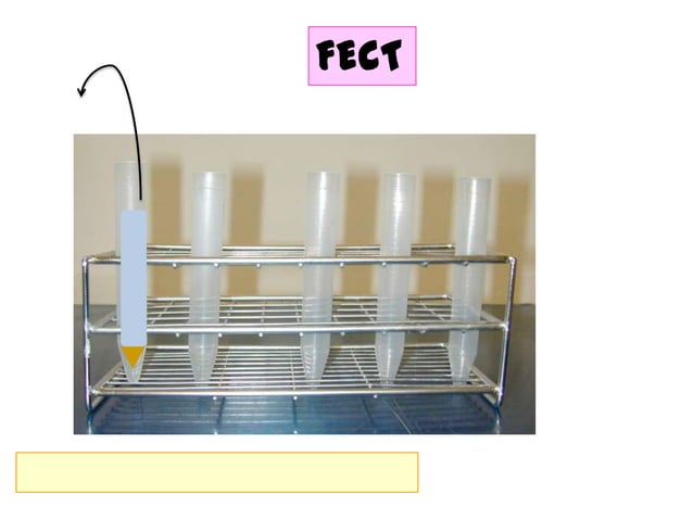 Concentration techniques for feacal examination | PPTX