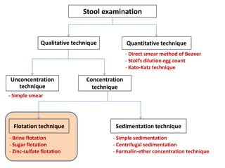 Stool examination

Qualitative technique

Quantitative technique
- Direct smear method of Beaver
- Stoll’s dilution egg count
- Kato-Katz technique

Unconcentration
technique

Concentration
technique

- Simple smear

Flotation technique
- Brine flotation
- Sugar flotation
- Zinc-sulfate flotation

Sedimentation technique
- Simple sedimentation
- Centrifugal sedimentation
- Formalin-ether concentration technique

 