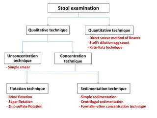 Stool examination

Qualitative technique

Quantitative technique
- Direct smear method of Beaver
- Stoll’s dilution egg count
- Kato-Katz technique

Unconcentration
technique

Concentration
technique

- Simple smear

Flotation technique
- Brine flotation
- Sugar flotation
- Zinc-sulfate flotation

Sedimentation technique
- Simple sedimentation
- Centrifugal sedimentation
- Formalin-ether concentration technique

 