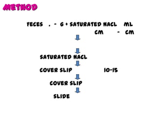Method
Feces . - g + saturated NaCl ml
cm
- cm

saturated NaCl
cover slip
cover slip
slide

10-15

 