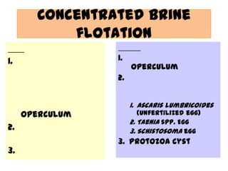 Concentrated brine
flotation
1.

1.

operculum

2.

operculum
2.
3.

1. Ascaris lumbricoides
(unfertilized egg)
2. Taenia spp. Egg
3. Schistosoma egg

3. Protozoa cyst

 