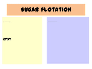 Sugar flotation

Cyst

 