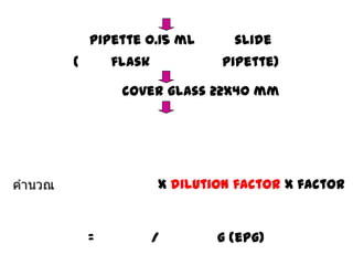 pipette 0.15 ml
(

flask

slide
pipette)

cover glass 22x40 mm

x dilution factor x factor

=

/

g (epg)

 