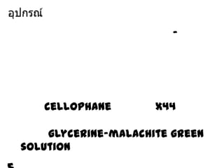 -

cellophane

x44

glycerine-malachite green
solution

 