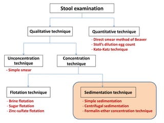 Stool examination

Qualitative technique

Quantitative technique
- Direct smear method of Beaver
- Stoll’s dilution egg count
- Kato-Katz technique

Unconcentration
technique

Concentration
technique

- Simple smear

Flotation technique
- Brine flotation
- Sugar flotation
- Zinc-sulfate flotation

Sedimentation technique
- Simple sedimentation
- Centrifugal sedimentation
- Formalin-ether concentration technique

 