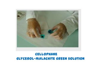 cellophane
glycerol-malachite green solution

 