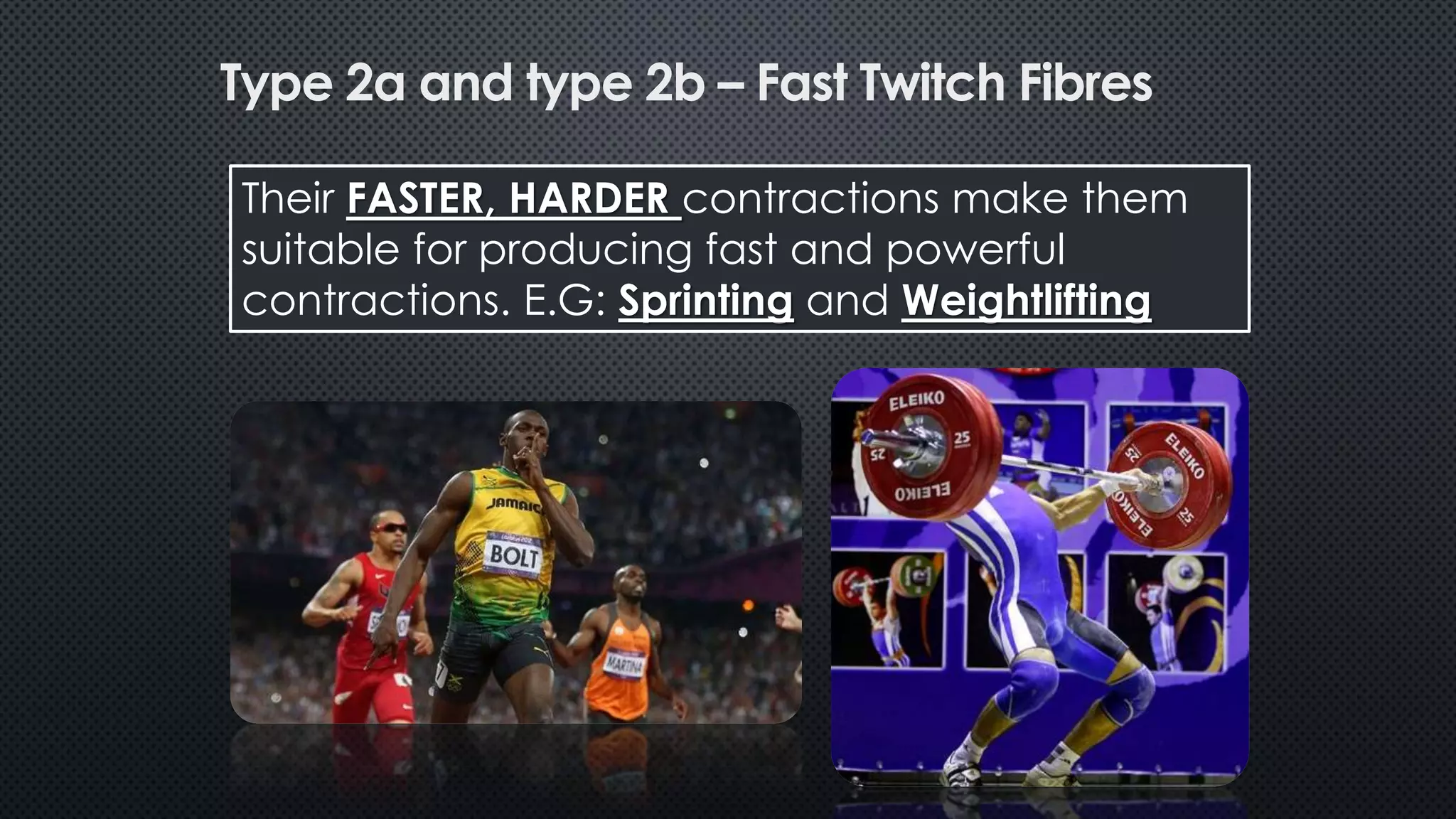 Their FASTER, HARDER contractions make them
suitable for producing fast and powerful
contractions. E.G: Sprinting and Weightlifting
Type 2a and type 2b – Fast Twitch Fibres
 