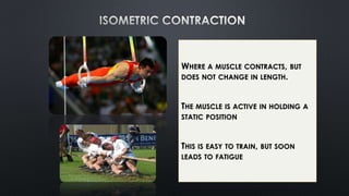 WHERE A MUSCLE CONTRACTS, BUT
DOES NOT CHANGE IN LENGTH.
THE MUSCLE IS ACTIVE IN HOLDING A
STATIC POSITION
THIS IS EASY TO TRAIN, BUT SOON
LEADS TO FATIGUE
 