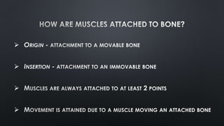  ORIGIN -
 INSERTION -


 