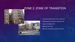 ZONE 2: ZONE OF TRANSITION
• “Least desirable place to live in the city”
• Dilapidated housing and infrastructure
• Large percentage rent
• Highest crime rate
• High rate of people moving in and out
 