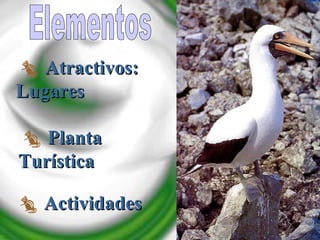 Elementos Atractivos: Lugares Planta Turística Actividades 