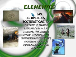 LAS ACTIVIDADES ECOTURÍSTICAS .  Son propuestas de atracción diseñadas en un viaje de ecoturismo para facilitar el disfrute, el aprendizaje y la sensibilización de los visitantes, coordinadas por un guía profesional o un intérprete ambiental. ELEMENTOS 