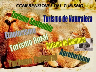 Turismo de Naturaleza Turismo Rural Turismo Sostenible Turismo Cultural Etnoturismo Agroturismo Turismo de Aventura COMPRENSIONES DEL TURISMO 