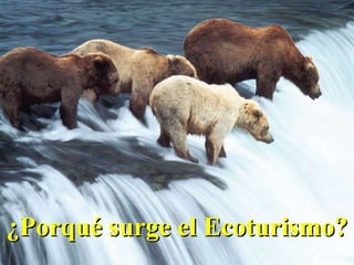 ¿Porqué surge el Ecoturismo? 