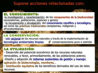 Supone acciones relacionadas con: EL CONOCIMIENTO :   la investigación y caracterización:  de los  componentes de la biodiversidad  (ecosistemas, poblaciones, especies y genes) la recuperación y divulgación:   del  conocimiento científico y tecnológico , así como las  prácticas tradicionales  campesinas, indígenas y afrocolombianas. LA UTILIZACIÓN :   - Desarrollo del potencial económico de los recursos naturales renovables, a favor, primordialmente, de las poblaciones pobres;  Diseño y adopción de  sistemas sostenibles de gestión y manejo:  aplicación de biotecnologías, monitoreo… -  Distribución equitativa  de los beneficios derivados del uso de tales recursos. LA CONSERVACIÓN: -  uso  racional  de los recursos naturales a través de la implementación de  tecnologías ambientales limpias .  conservacionismo puro o estricto   ≠ 