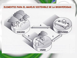 ELEMENTOS PARA EL MANEJO SOSTENIBLE DE LA BIODIVERSIDAD 