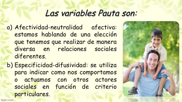 Socios de opciones binarias