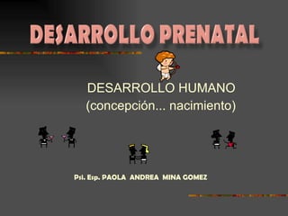 DESARROLLO HUMANO  (concepción... nacimiento)   Psi. Esp. PAOLA  ANDREA  MINA GOMEZ 