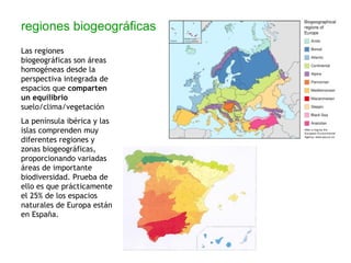 Concepcion BiolóGica Del Mundo | PPT