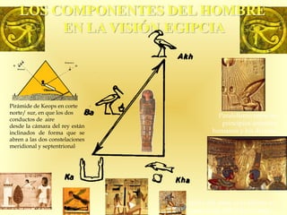 Pirámide de Keops en corte
norte/ sur, en que los dos
conductos de aire
desde la cámara del rey están
inclinados de forma que se
abren a las dos constelaciones
meridional y septentrional.
Paralelismo entre los
principios anímicos
humanos y los divinos.
Juicio del alma: si el difunto lo
pasa, su ba, akh y ka se unen.
 