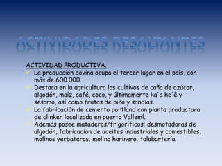 ACTIVIDAD PRODUCTIVA.
 La producción bovina ocupa el tercer lugar en el país, con
más de 600.000.
 Destaca en la agricultura los cultivos de caña de azúcar,
algodón, maíz, café, coco, y últimamente ka'a he'ê y
sésamo, así como frutas de piña y sandías.
 La fabricación de cemento portland con planta productora
de clinker localizada en puerto Vallemí.
 Además posee mataderos/frigoríficos; desmotadoras de
algodón, fabricación de aceites industriales y comestibles,
molinos yerbateros; molino harinero; talabartería.
 