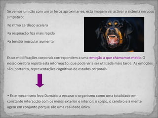 Se vemos um cão com um ar feroz aproximar-se, esta imagem vai activar o sistema nervoso simpático:  o ritmo cardíaco acelera a respiração fica mais rápida a tensão muscular aumenta Estas modificações corporais correspondem a uma  emoção a que chamamos medo . O nosso cérebro regista esta informação, que pode vir a ser utilizada mais tarde. As emoções são, portanto, representações cognitivas de estados corporais. Este mecanismo leva Damásio a encarar o organismo como uma totalidade em constante interacção com os meios exterior e interior: o corpo, o cérebro e a mente agem em conjunto porque são uma realidade única 
