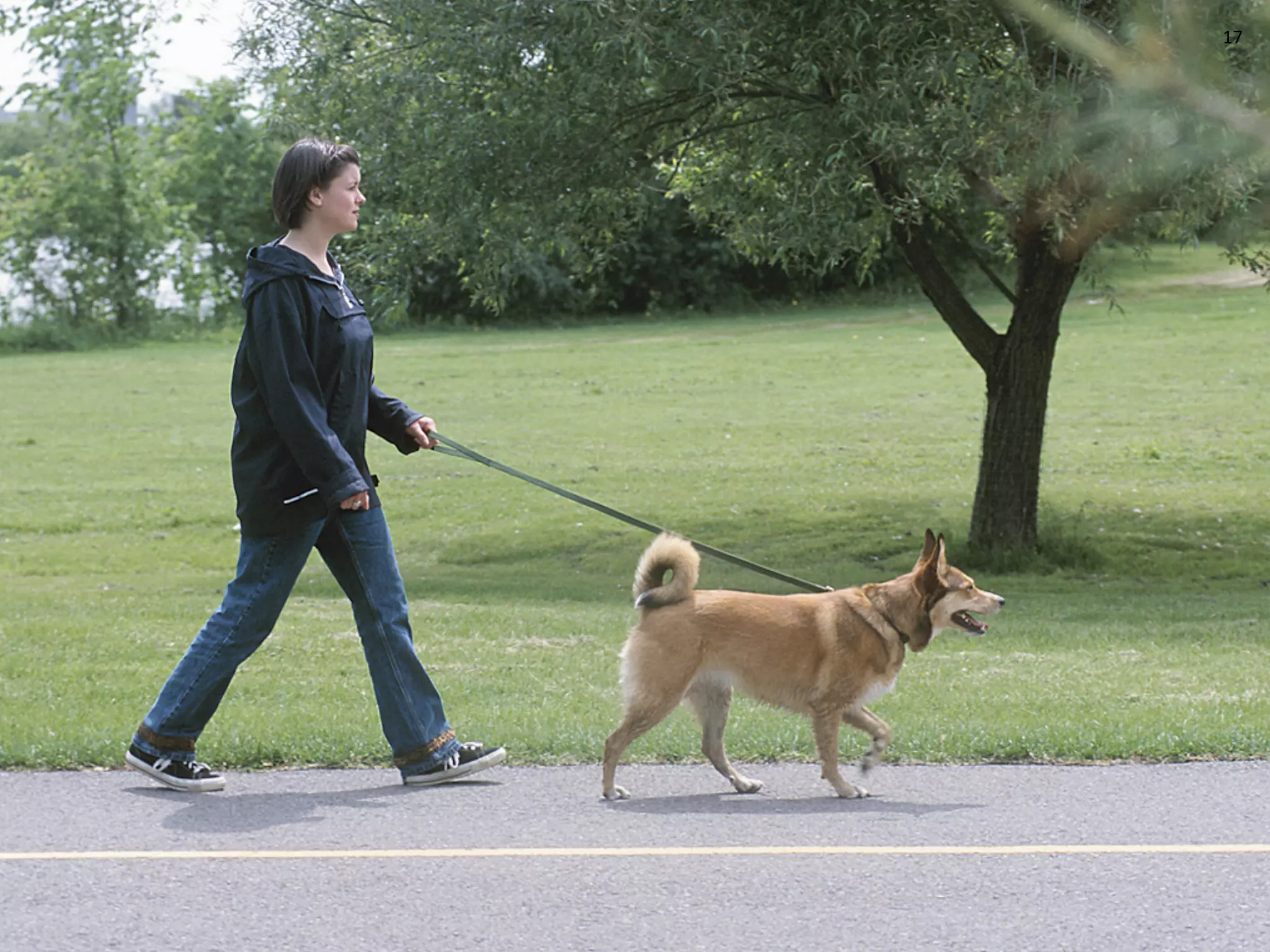 Concept Models ~ Interaction08